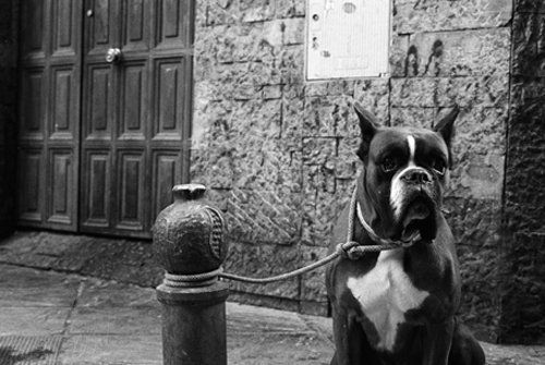 esperando Fotoperiodismo y documental Blanco y Negro (Química)