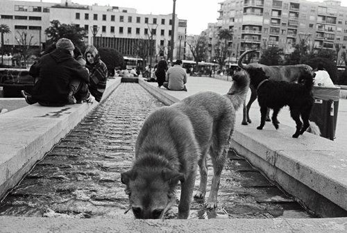 buscavidas Fotoperiodismo y documental Blanco y Negro (Química)