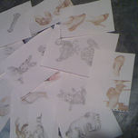 COLECCION PRIVADA thumbnail 2