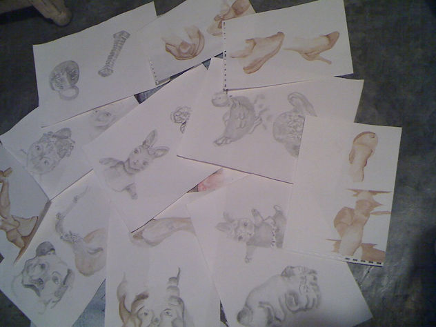APUNTES