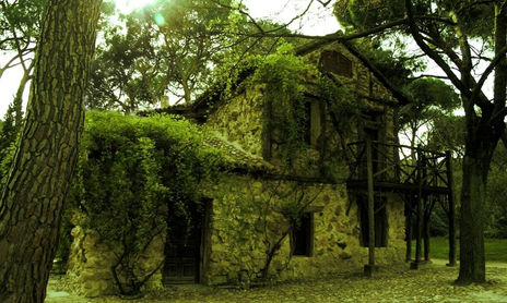 Naturaleza y paisajes