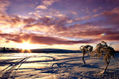 paisaje