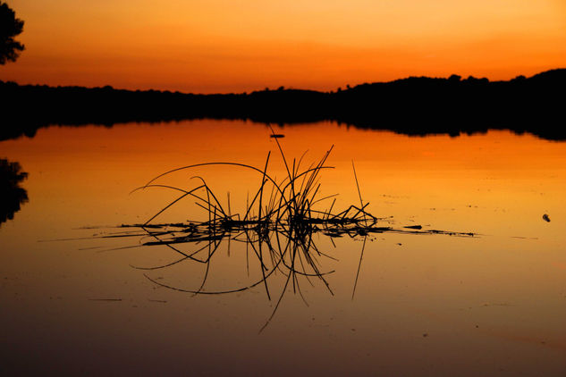 reflejos 