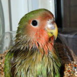 Galeria thumbnail 2