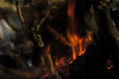 hoguera