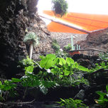 lanzarote tour fotografico thumbnail 2