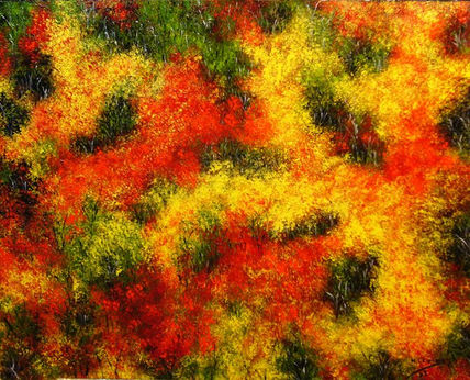 Naturaleza pasional
