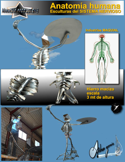 Anatomia humana- sistema nervioso Hierro Figurativa