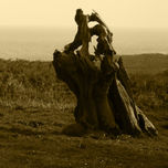 Artísticas thumbnail 2