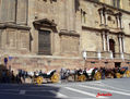 Málaga coches de caballos