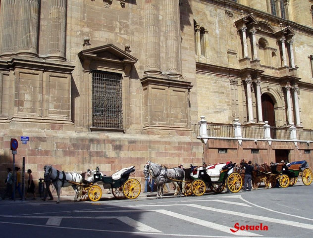 Málaga coches de caballos