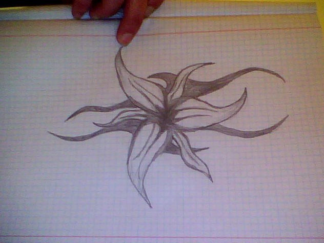 rose
