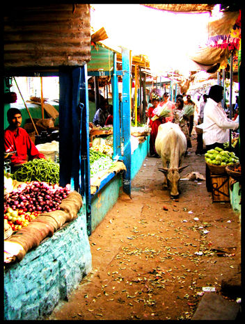 Mistic India
