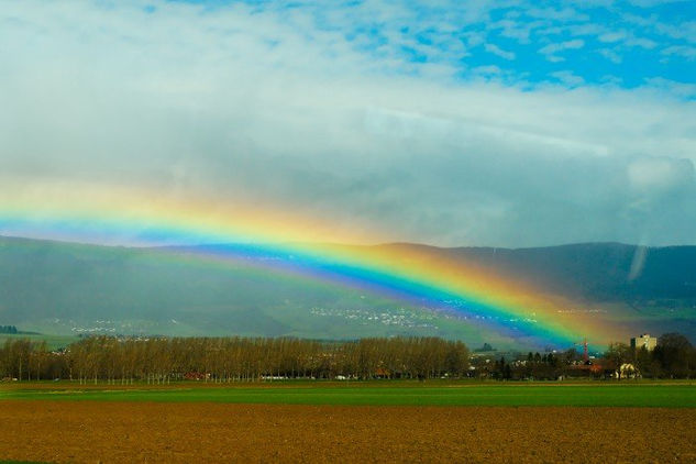 Arco iris Nature Black and White (Digital)