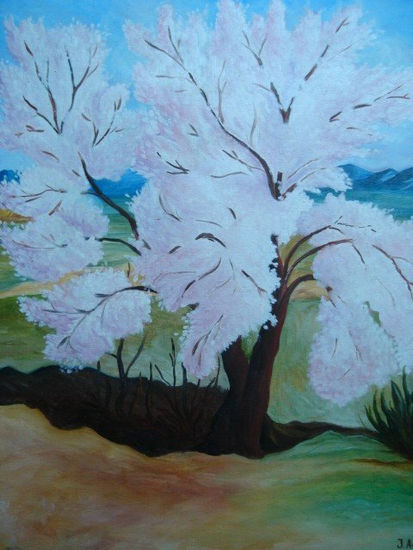 Almendro florido Oil Canvas Landscaping