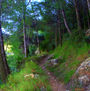 CAMINO DE LA FUENTE