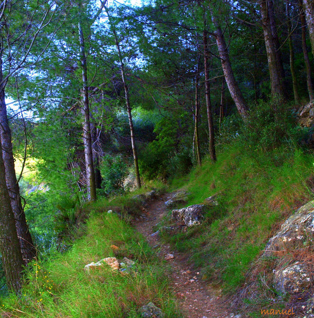 CAMINO DE LA FUENTE