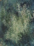 AGUAMARINA