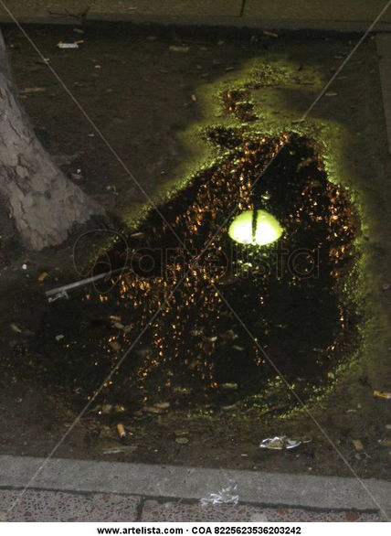 Luna en el charco
