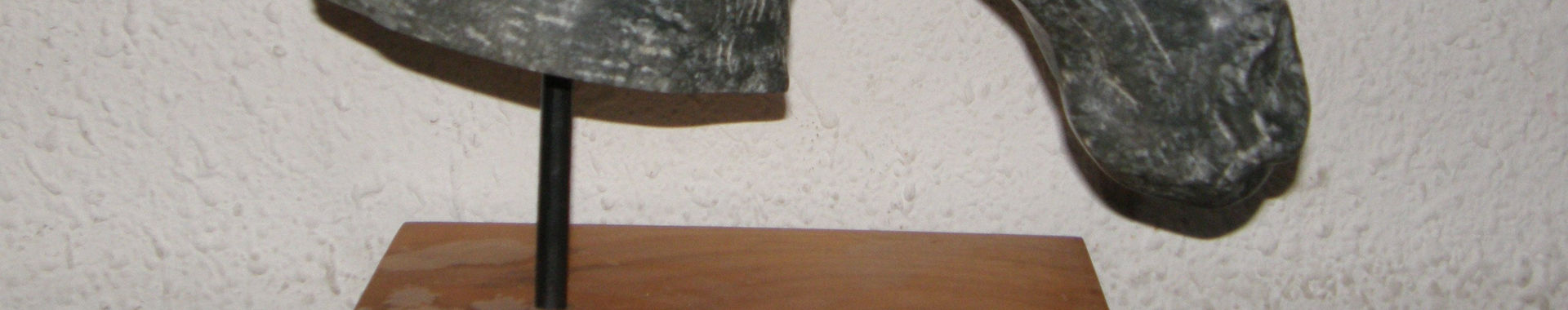 Imagen de portada