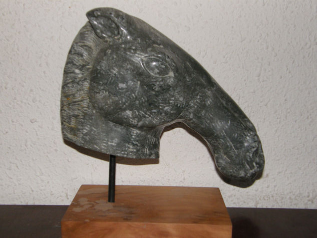 caballo Piedra Figurativa