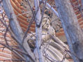 virgen espinada