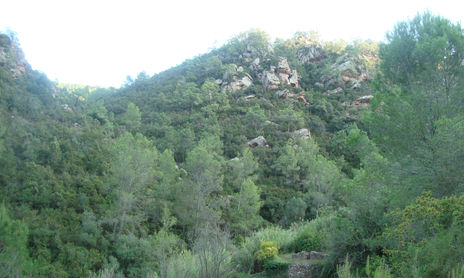 Paisajes medievales