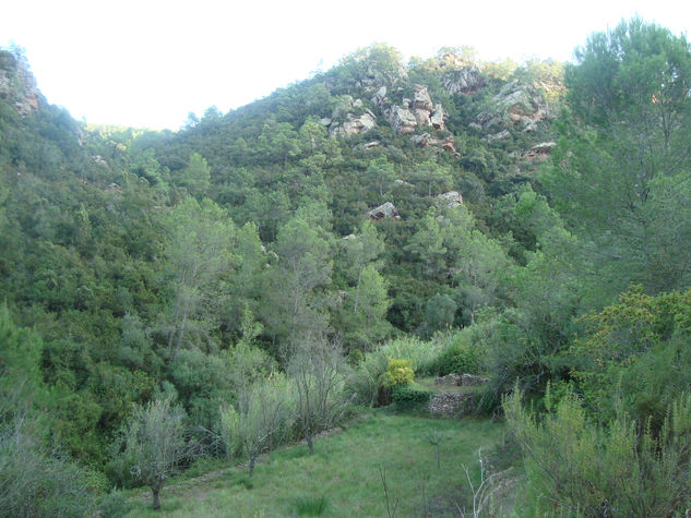 Barranco de Ritxer al "Ermitori de les Santes", Cabanes Arquitectura e interiorismo Color (Digital)