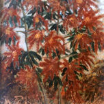 2001 thumbnail 2