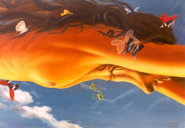 El sueno de la mujer mariposa
