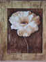 flor con textura