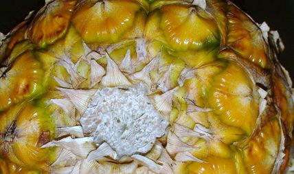 Piña.