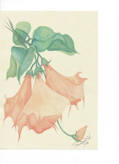 DATURA Acuarela Papel Floral