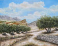 Olivos Andaluces