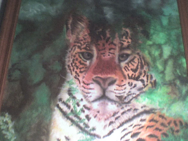 LEOPARDO
