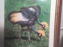 Duo de  aves