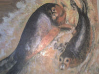 Focas