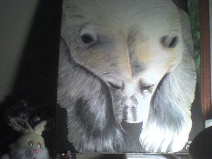 Polar