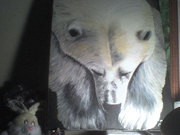 POLAR