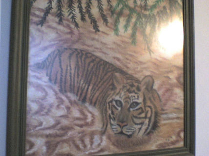 Tigre