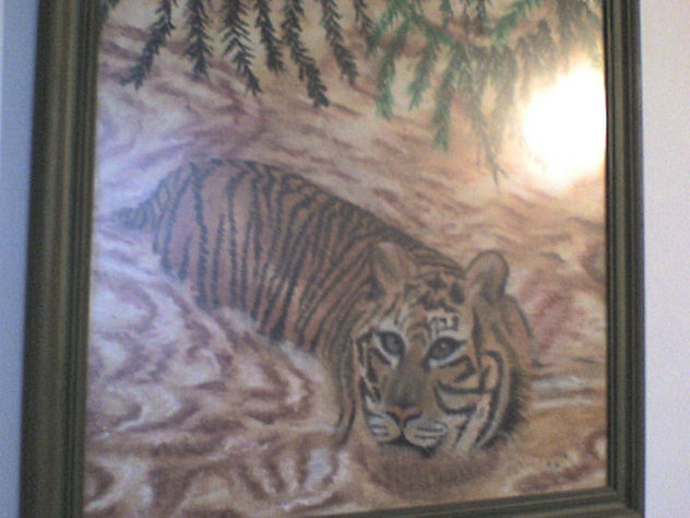 TIGRE