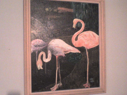 Flamencos