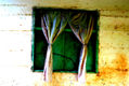 tras la ventana 1