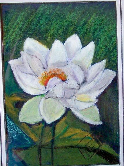 Flor acuática sobre...