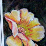 FLORES thumbnail 2
