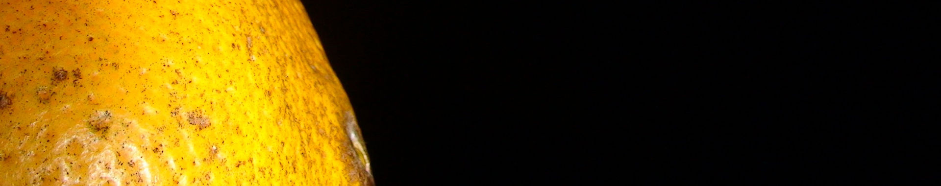 Imagen de portada