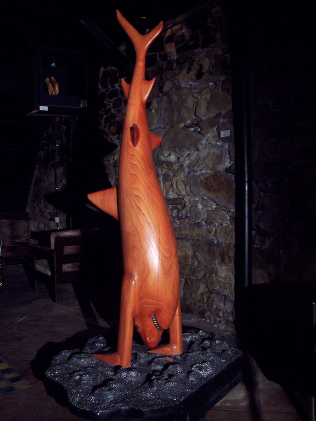 Special shark (evolucion al equilibrio)