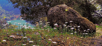 Descanso en el campo
