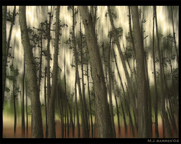 Bosque 1 Conceptual/Abstract Color (Digital)