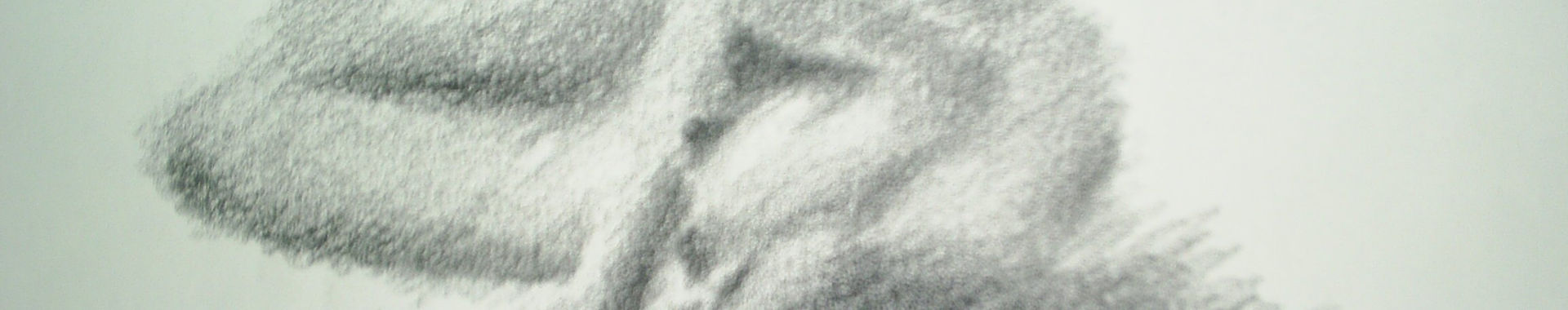 Imagen de portada